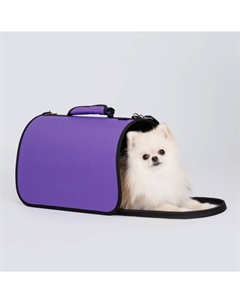 Сумка-переноска для кошек и собак мелких пород Хард, M, 40х25х25 см, фиолетовая Rurri