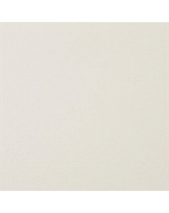 Бумага для акварели "Ладога", 300 г/м2, 50х65 см, 100% хлопок, крупное зерно Невская палитра