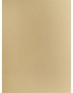 Бумага для пастели GrafArt А2 270 г, бежевая Малевичъ