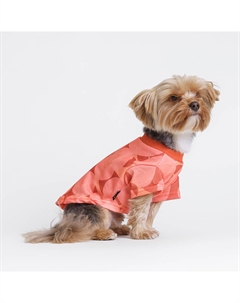 Футболка для кошек и собак, M, оранжевая Rurri