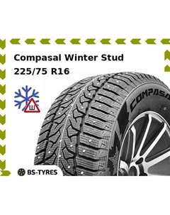 Зимние шины Compasal Winter Stud 225/75 R16C 115/112S
