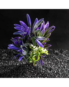 Растение искусственное аквариумное, 14.5×13×13 см Пижон аква