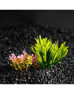 Растение искусственное аквариумное, на подставке под камень, 14×11×7 см Пижон аква