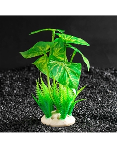 Растение искусственное аквариумное, 11.5×11.5×14.5 см Пижон аква