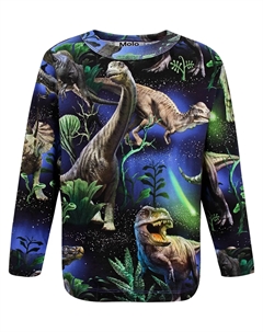 Лонгслив Molo