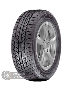 Зимняя шина Frost WH01 195/45 R16 84H XL Roadx