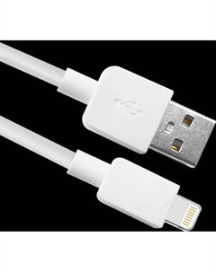 Кабель USB-Lightning 8-pin, 1м, белый Defender ACH02-01L (87496)