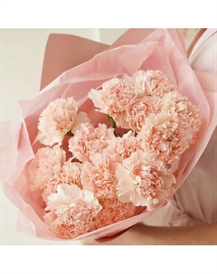 Букет с розовой гвоздикой. 15 шт. Живые цветы. Монобукет Mamoka flower studio