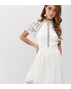 Белое короткое приталенное платье с кружевом Chi chi london petite