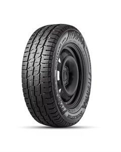 Шины 215/75 R16 DW06 113/111R Doublestar