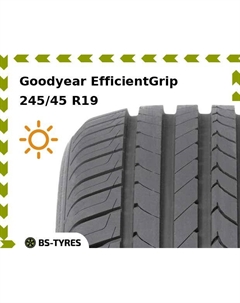 Летние шины Goodyear EfficientGrip MO 245/45 R19 102Y