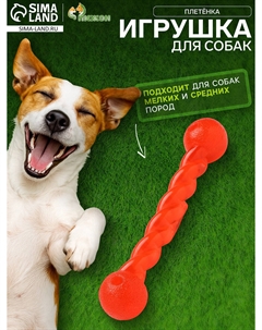 Игрушка Пижон