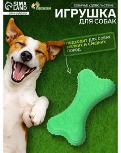 Игрушка жевательная суперпрочная Пижон