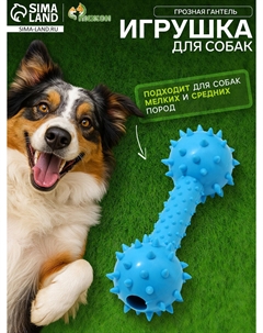 Игрушка жевательная Пижон