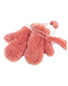 Варежки Carolon