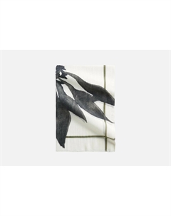 Шарф Белый Marc o'polo