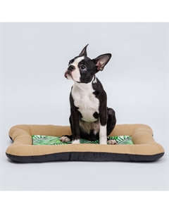 Подстилка для собак и кошек, 60х40х5 см, бежевая Petmax