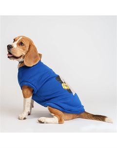 Толстовка с медведем для собак, 4XL, синий Petmax