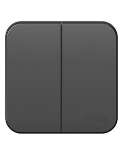 Выключатель Schneider Electric BLANCA, 2кл., открытый монтаж, в сборе, антрацит (BLNVA105006) Schneider electric