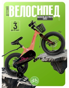 Детский велосипед Jazz Pro 16, год 2025, цвет Оранжевый Maxiscoo