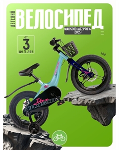 Детский велосипед Jazz Pro 16, год 2025, цвет Голубой Maxiscoo