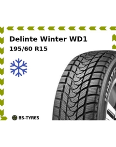 Зимние шины Delinte Winter WD1 195/60 R15 88H