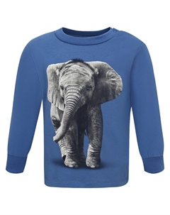 Лонгслив Molo