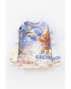 Свитшот хлопковый с принтом Bell bimbo