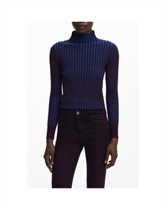 Коричневый женский свитер из полиэстера Desigual