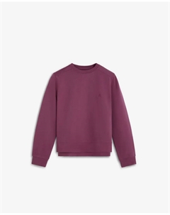 Женская толстовка 100% хлопок с круглым вырезом, фиолетовый Scalpers