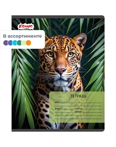 Тетрадь школьная Класс Дикие животные А5 24 листов в клетку (ВД-лак) Комус