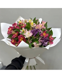 Альстромерии Flor master