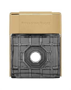 Парфюмерная вода Dubai (100ml) Stefano ricci