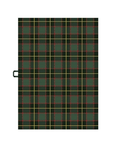 Полотенце кухонное Клетка 50х70см зеленое, арт.ПЦ556-7055,2 Cleanelly