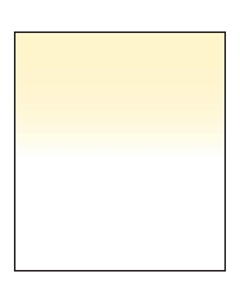 Фильтр LEE Filters 150 x 170mm Hard-Edge Graduated Straw 1 SW150STR1GH Lee filters