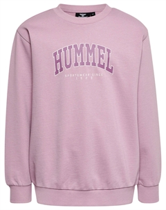 Толстовка Hmlfast Lifestyle Boys Hummel