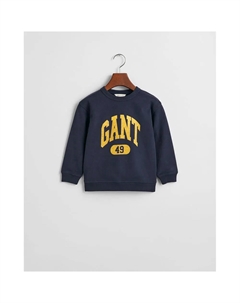 Толстовка 49 Archive Print 806801, синий Gant