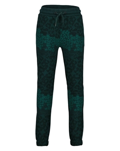 Спортивные брюки Kansas Sacramento, зеленый Raizzed