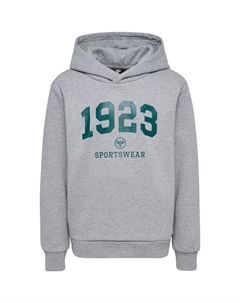 Толстовка с капюшоном для мальчиков hmlNIPPS Hummel