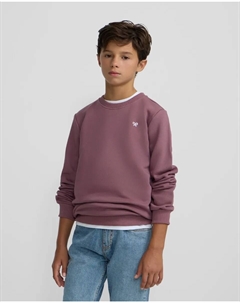 Детский свитшот Petits, бордовый Silbon