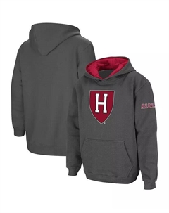 Темно-серый пуловер с большим логотипом Big Boys Harvard Crimson, худи с капюшоном, серый Colosseum