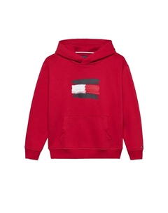 Толстовка для маленького мальчика с капюшоном и логотипом на груди, красный Tommy hilfiger