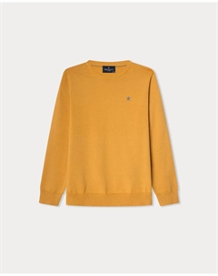 Детский джемпер с круглым вырезом, горчичный Hackett