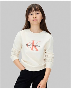 Детский свитер с логотипом, серый Calvin klein