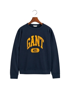 Толстовка 49 Archive Print 906902, синий Gant