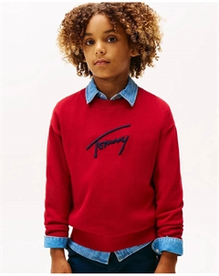 Детский джемпер с вышитым логотипом на груди и круглым вырезом, красный Tommy hilfiger