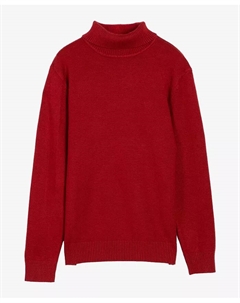 Мальчиковый базовый водолазка, красный Xray