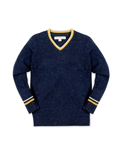 Детский свитер с длинным рукавом и V-образным вырезом для мальчиков, синий Hope & henry