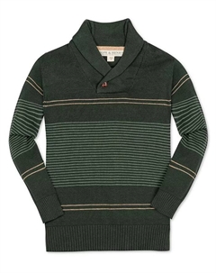 Мальчиковый органический джемпер с длинным рукавом в полоску и шальным воротником, зеленый Hope & henry
