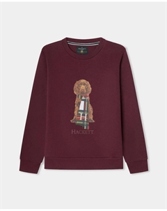 Детская толстовка Harry Crew, красный Hackett